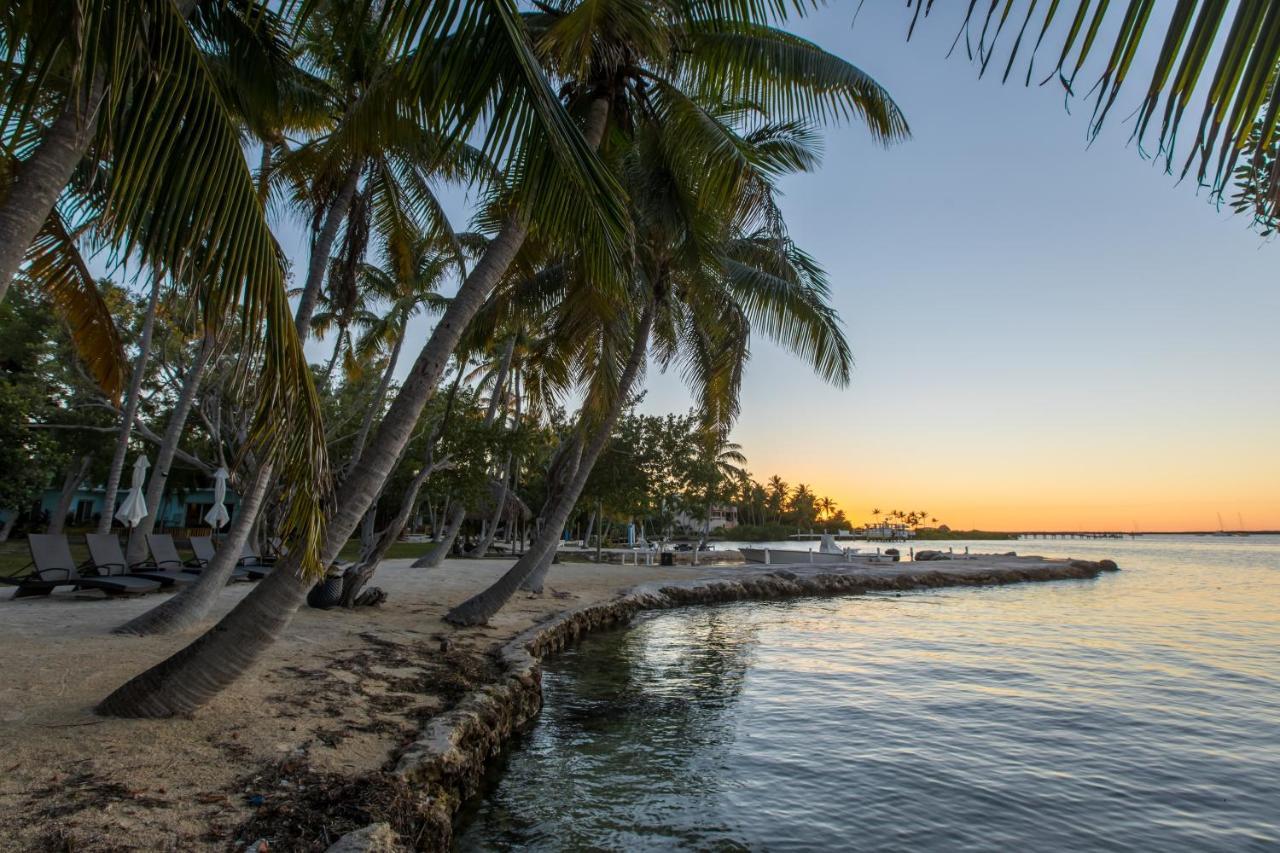 La Jolla Resort Islamorada Exterior foto